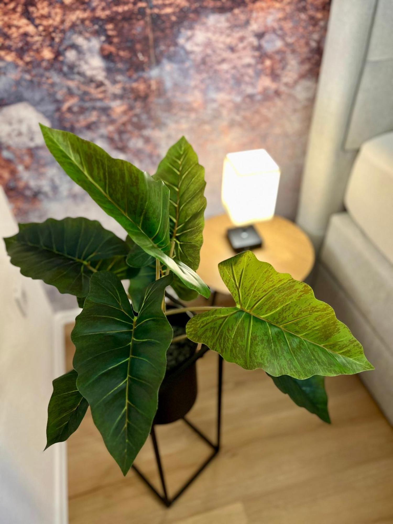 ヴュルツブルクMain Cozy Casa Am Ringpark Free Parkingアパートメント エクステリア 写真